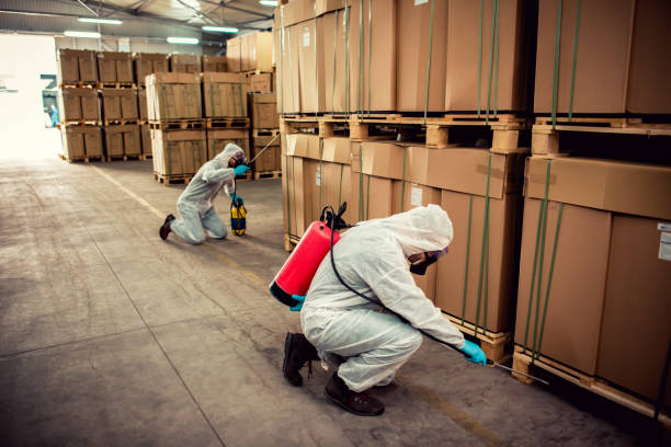 Best Bed Bug Extermination  in Langhorne, PA