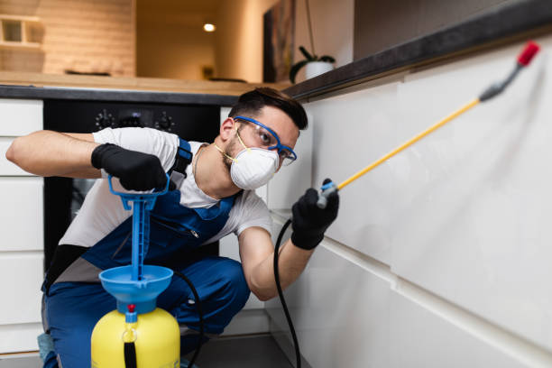 Best Best Pest Control Companies  in Langhorne, PA