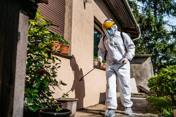 Best Wasp Removal Services  in Langhorne, PA