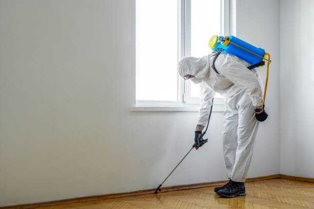 Best Mosquito Control Services  in Langhorne, PA