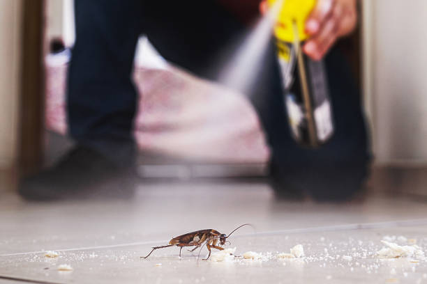 Best Cockroach Control Services  in Langhorne, PA